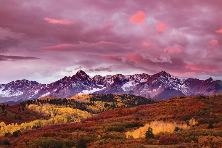 Autumn, Aspen Trees And Sneffels Range At Sunset, Mount Sneffels Wilderness. Colorado by Adam Jones wall art