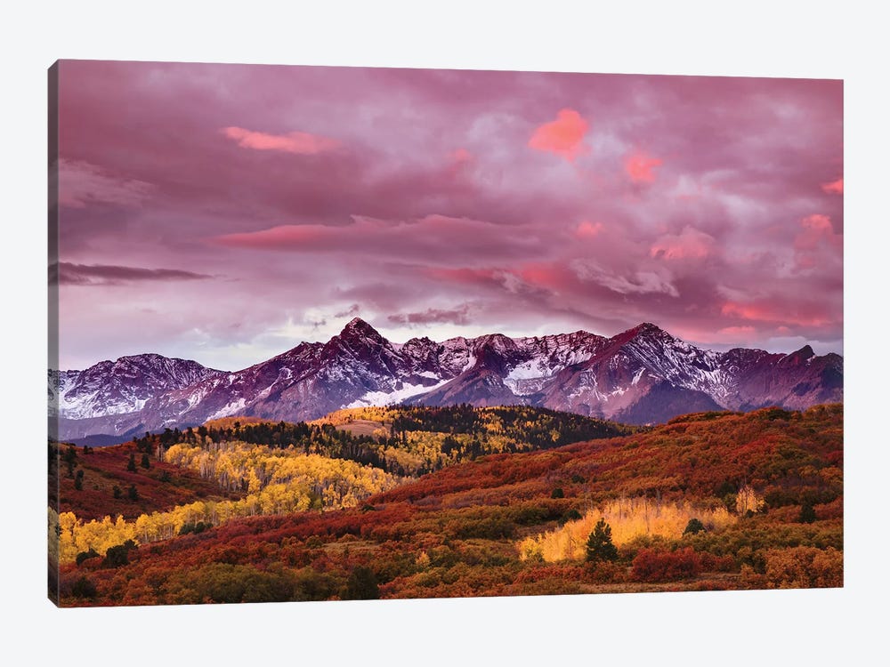 Autumn, Aspen Trees And Sneffels Range At Sunset, Mount Sneffels Wilderness. Colorado by Adam Jones 1-piece Art Print