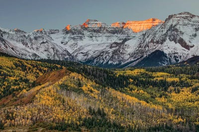 Autumn I, Aspen Trees and Sneffels Range, Uncompahgre National Forest, Colorado by Adam Jones art print