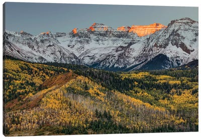 Autumn, Aspen Trees and Sneffels Range, Uncompahgre National Forest, Colorado I Canvas Art Print - Snowy Mountain Art