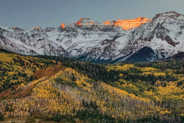 Colorado: Autumn I, Aspen Trees and Sneffels Range, Uncompahgre National Forest, Colorado by Adam Jones