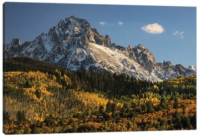 Autumn, Aspen Trees And Sneffels Range, Uncompahgre National Forest, Colorado II Canvas Art Print - Snowy Mountain Art