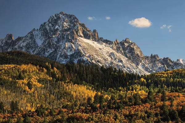 Snowy Mountains: Autumn II, Aspen Trees And Sneffels Range, Uncompahgre National Forest, Colorado by Adam Jones