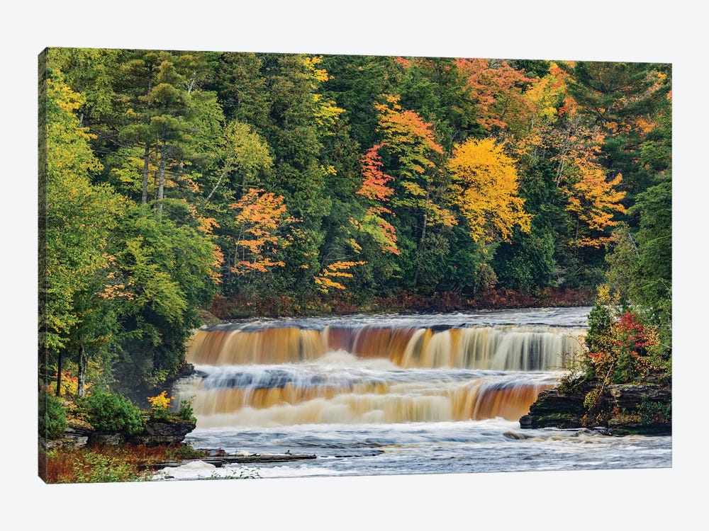 Cascade on Tahquamenon Falls in autumn, Tahquamenon Falls State Park, Michigan by Adam Jones 1-piece Canvas Wall Art