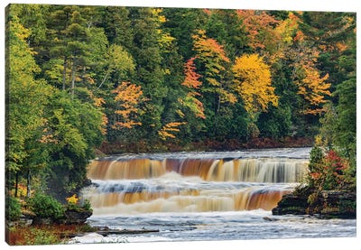 Cascade on Tahquamenon Falls in autumn, Tahquamenon Falls State Park, Michigan Canvas Art Print - Michigan Art