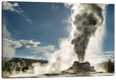 Castle Geyser erupting, Upper Geyser Basin, Yellowstone National Park, Wyoming Canvas Art Print - Yellowstone National Park Art