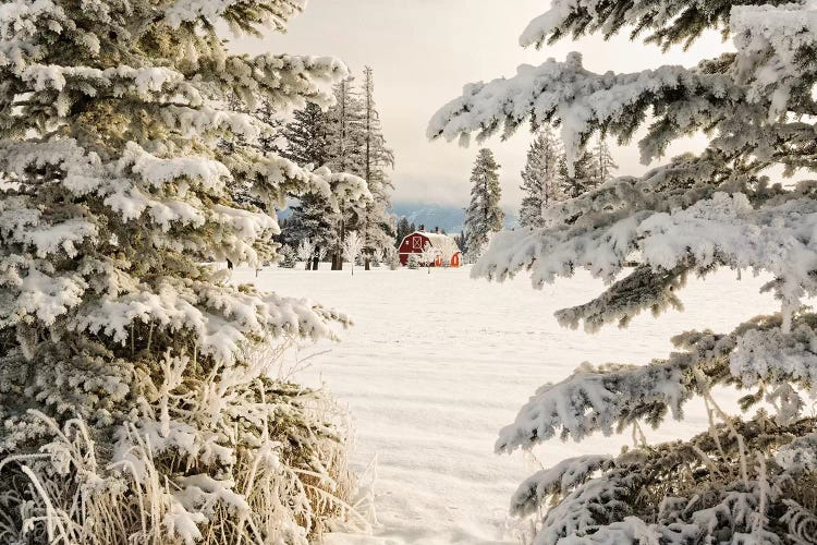 Classic red barn and snow scene, Kalispell, Montana