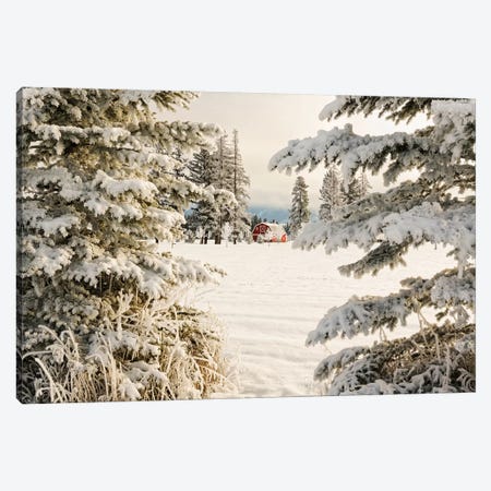 Classic red barn and snow scene, Kalispell, Montana Canvas Print #AJO51} by Adam Jones Canvas Art Print
