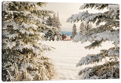 Classic red barn and snow scene, Kalispell, Montana Canvas Art Print - Evergreen Tree Art