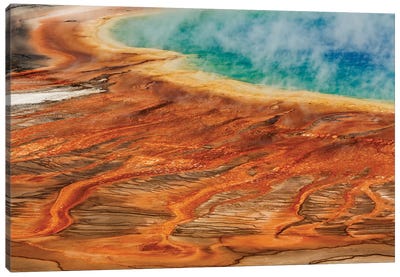 Grand Prismatic Spring, Midway Geyser Basin, Yellowstone National Park, Montana, Wyoming Canvas Art Print - Mist & Fog Art