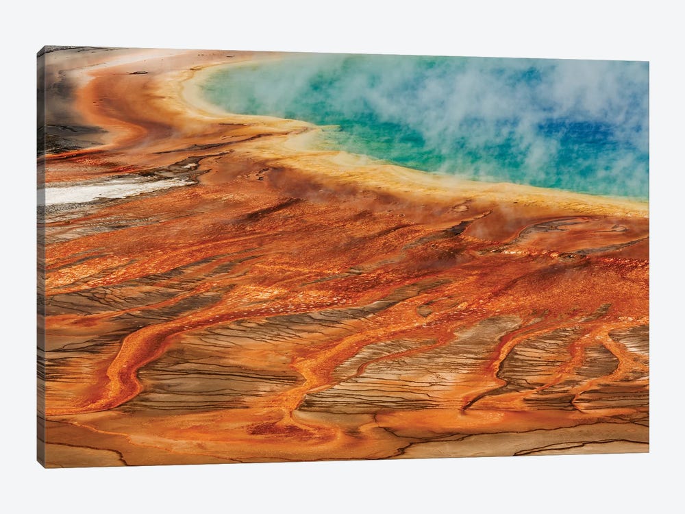 Grand Prismatic Spring, Midway Geyser Basin, Yellowstone National Park, Montana, Wyoming by Adam Jones 1-piece Canvas Art Print