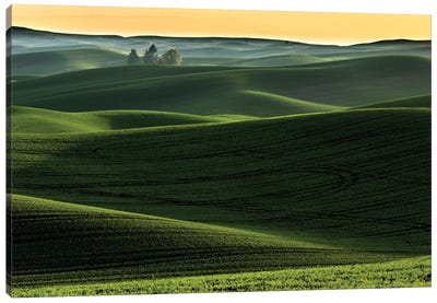 Rolling Hills Covered In Wheat At Sunset, Palouse Region, Washington State Canvas Art Print - Adam Jones