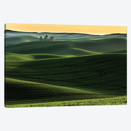 Rolling Hills Covered In Wheat At Sunset, Palouse Region, Washington State Canvas Print #AJO78} by Adam Jones Canvas Print