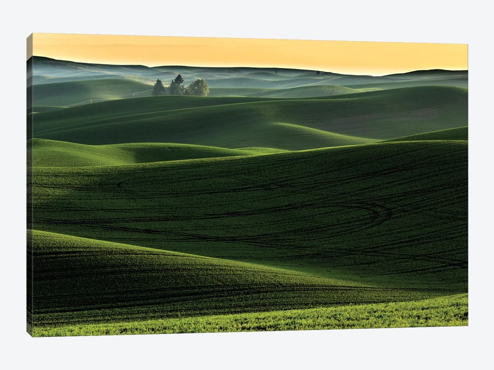 Rolling Hills Covered In Wheat At Sunset, Palouse Region, Washington State by Adam Jones 1-piece Canvas Art