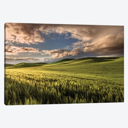 Rolling hills of wheat at sunrise, Palouse region, Washington State. Canvas Print #AJO79} by Adam Jones Canvas Art Print