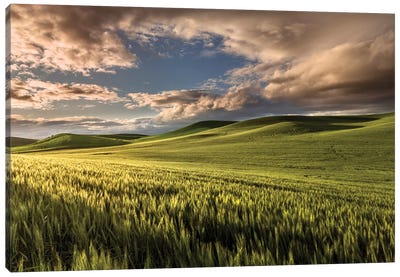 Rolling Hills Of Wheat At Sunrise, Palouse Region, Washington State Canvas Art Print - Washington Art