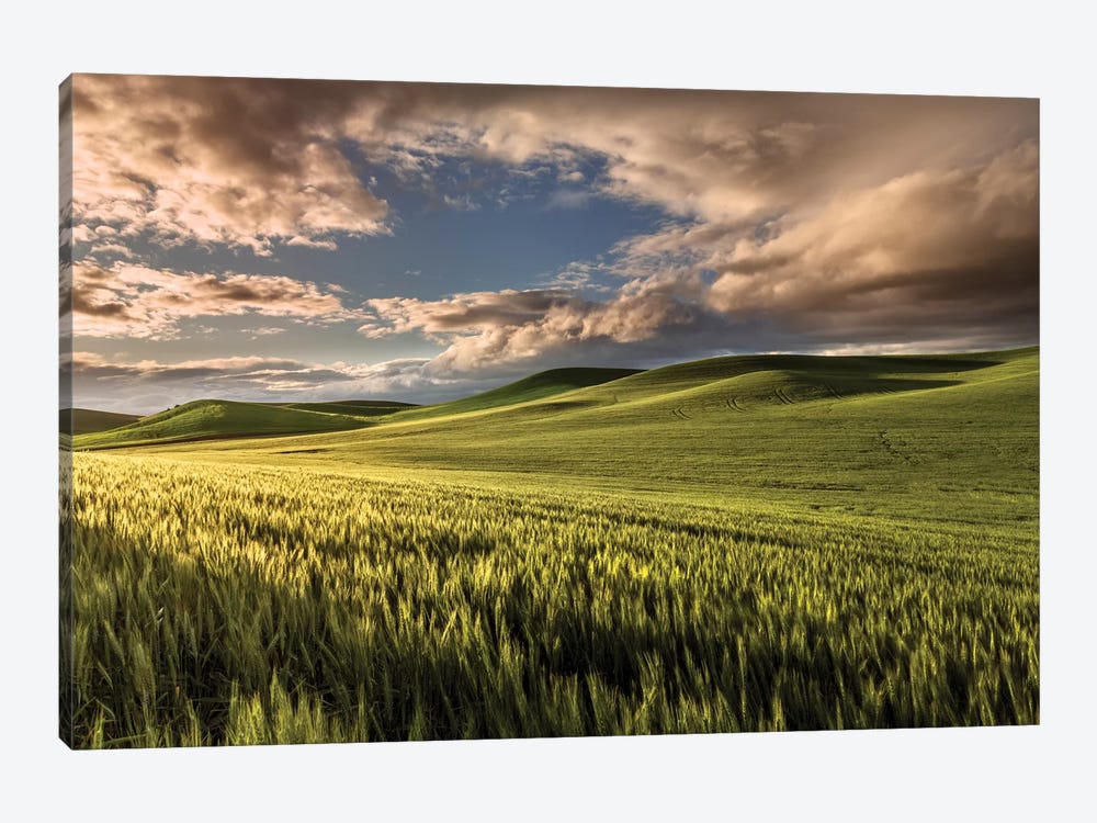 Rolling Hills Of Wheat At Sunrise, Palouse Region, Washington State by Adam Jones 1-piece Art Print