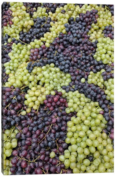 Grape Harvest In Zoom I, Festa dell'Uva, Impruneta, Florence Province, Tuscany Region, Italy Canvas Art Print - Fruit Art