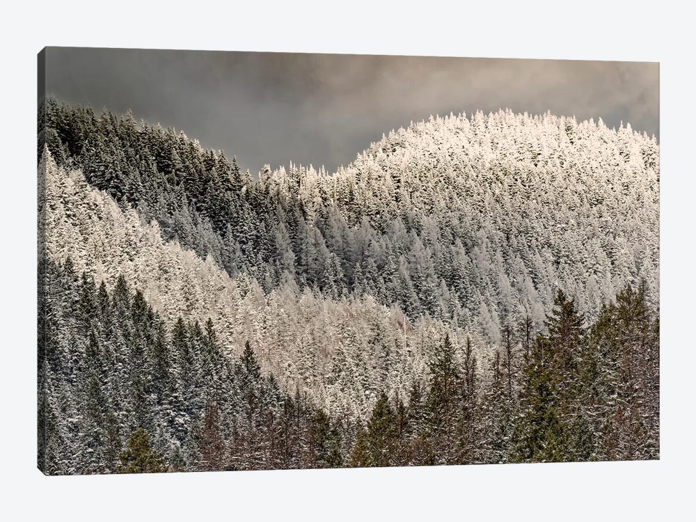 Snow-covered Trees On Mountain by Adam Jones 1-piece Art Print