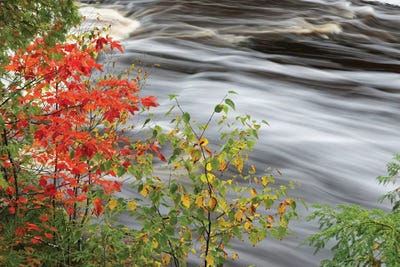 Tahquamenon Falls, Tahquamenon Falls State Park, Michigan by Adam Jones framed wall art