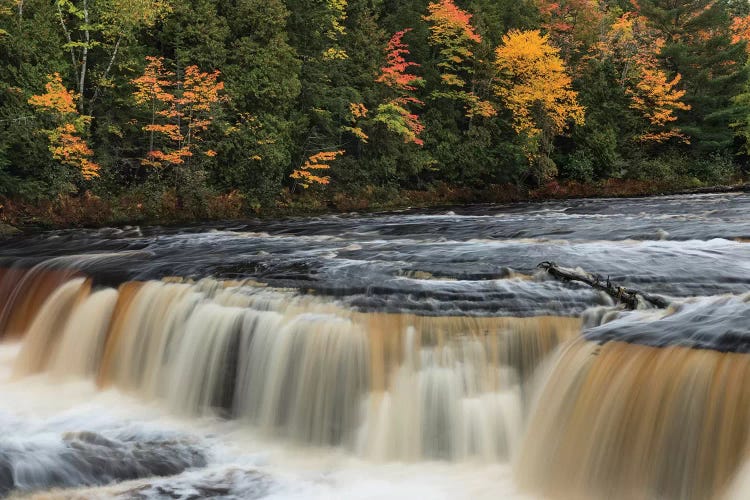 Tahquamenon Falls, Tahquamenon Falls State Park, Whitefish, Michigan I