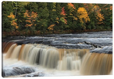Tahquamenon Falls, Tahquamenon Falls State Park, Whitefish, Michigan I Canvas Art Print - Waterfall Art