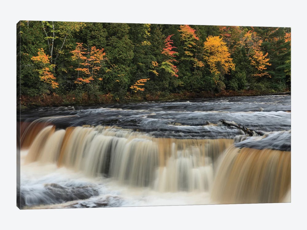 Tahquamenon Falls, Tahquamenon Falls State Park, Whitefish, Michigan I by Adam Jones 1-piece Canvas Art