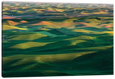 Undulating Wheat Crop, Palouse Region, Washington State Canvas Art Print - Adam Jones