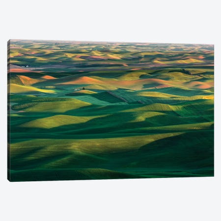 Undulating Wheat Crop, Palouse Region, Washington State Canvas Print #AJO86} by Adam Jones Canvas Print