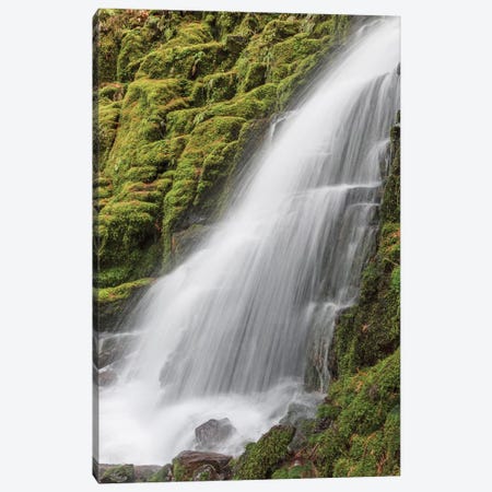 White Branch Falls, Oregon Cascades, Oregon I Canvas Print #AJO87} by Adam Jones Canvas Art Print