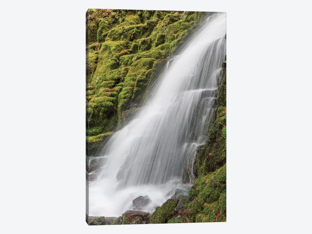 White Branch Falls, Oregon Cascades, Oregon I by Adam Jones 1-piece Canvas Artwork