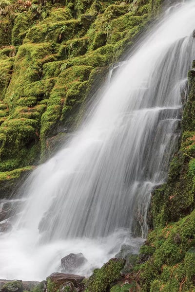 Zen Bedroom: White Branch Falls I, Oregon Cascades, Oregon by Adam Jones