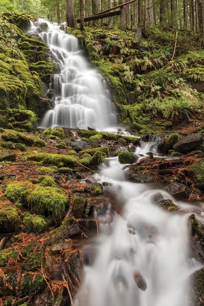 Oregon: White Branch Falls II, Oregon Cascades, Oregon by Adam Jones