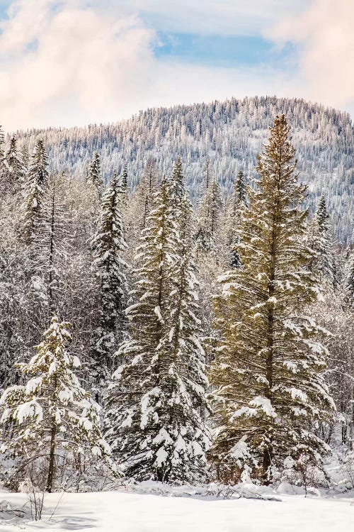 Winter mountain scene, Montana by Adam Jones wall art