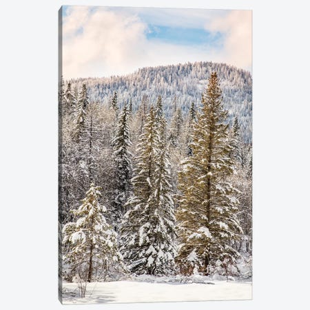 Winter mountain scene, Montana Canvas Print #AJO89} by Adam Jones Canvas Art