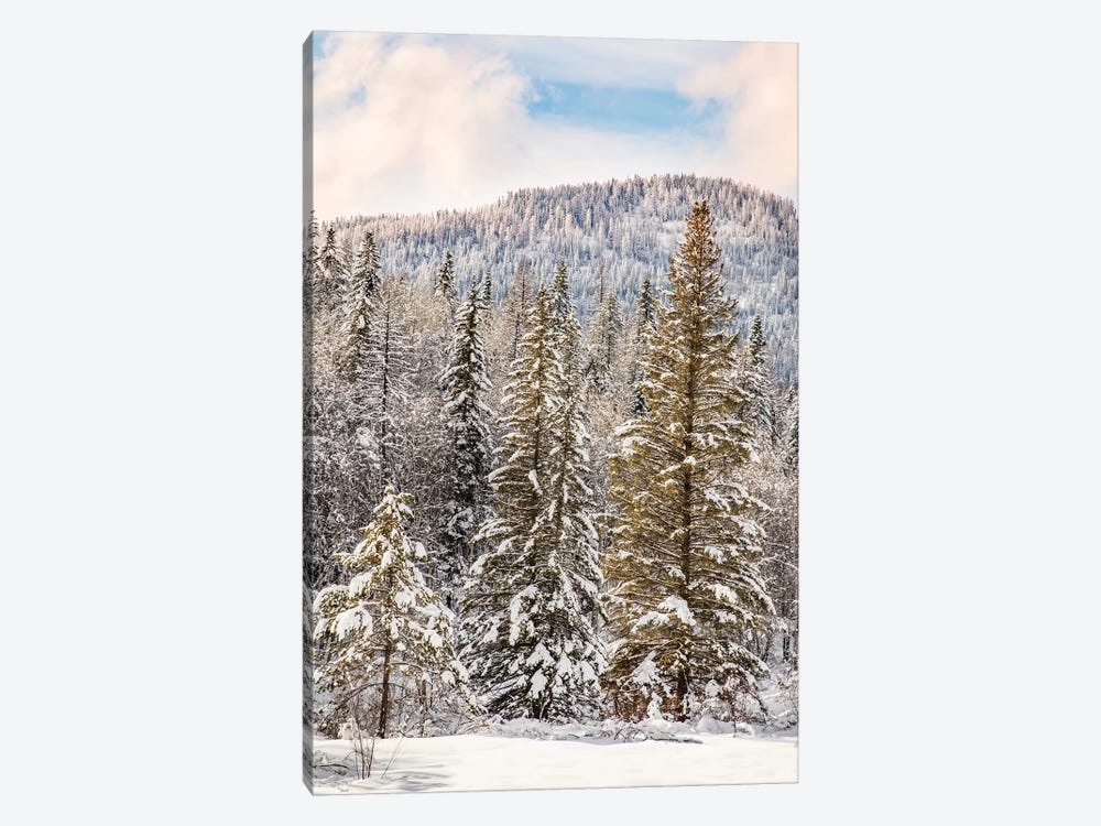 Winter mountain scene, Montana by Adam Jones 1-piece Canvas Wall Art