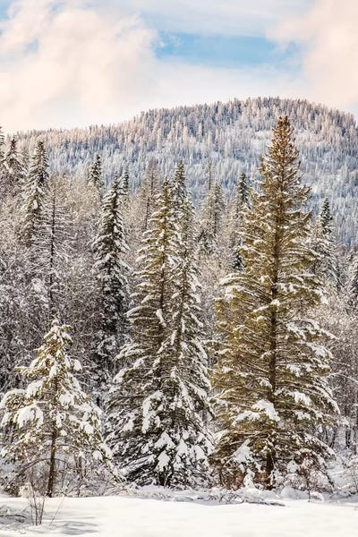 Montana: Winter mountain scene, Montana by Adam Jones