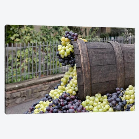 Grape Harvest In Zoom II, Festa dell'Uva, Impruneta, Florence Province, Tuscany Region, Italy Canvas Print #AJO8} by Adam Jones Art Print