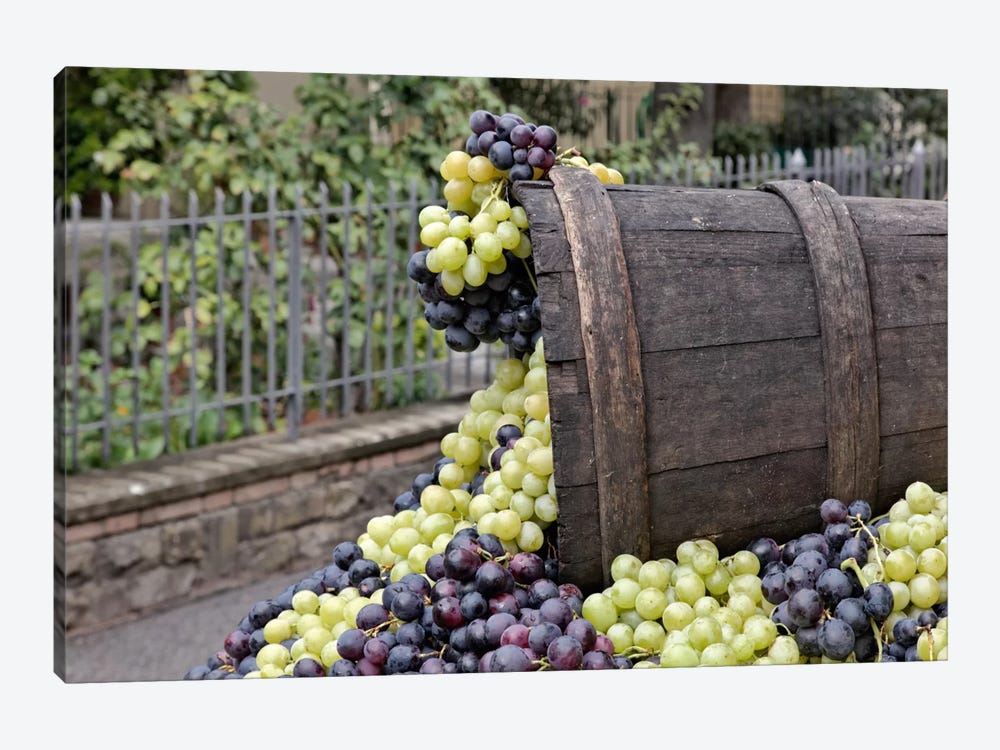 Grape Harvest In Zoom II, Festa dell'Uva, Impruneta, Florence Province, Tuscany Region, Italy by Adam Jones 1-piece Canvas Artwork