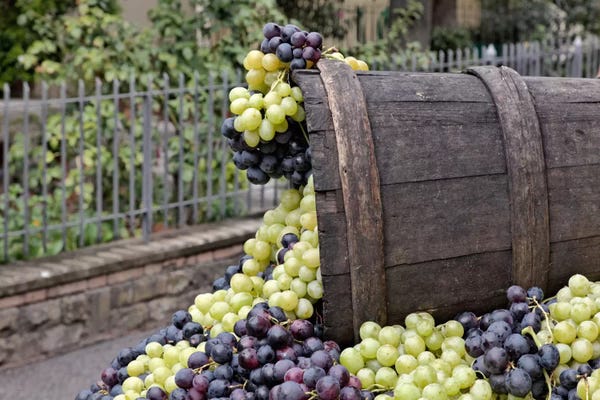 Still Life Photography: Grape Harvest In Zoom II, Festa dell'Uva, Impruneta, Florence Province, Tuscany Region, Italy by Adam Jones