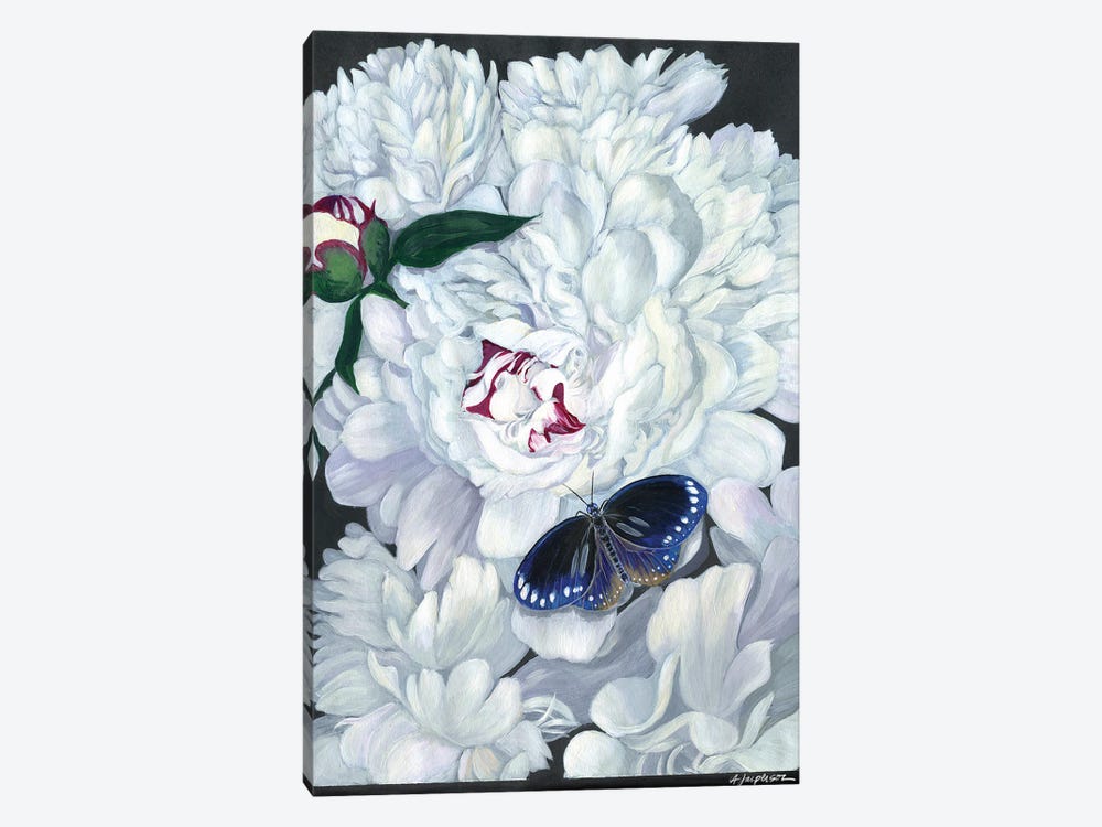 Double White Peony by Ann Jasperson 1-piece Canvas Artwork