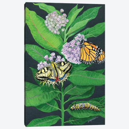Milkweed And Butterflies Canvas Print #AJP31} by Ann Jasperson Canvas Art