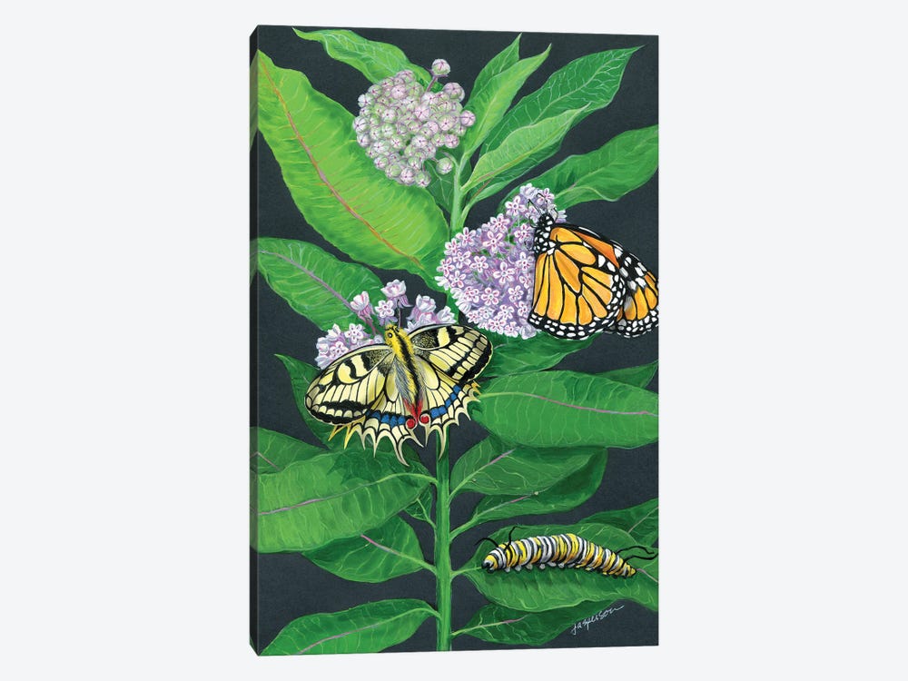Milkweed And Butterflies by Ann Jasperson 1-piece Canvas Artwork