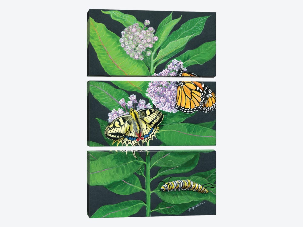Milkweed And Butterflies by Ann Jasperson 3-piece Canvas Artwork