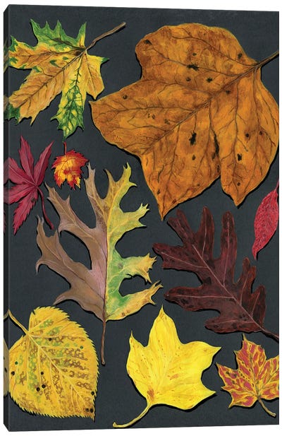 Autumn In Connecticut Canvas Art Print - Ann Jasperson