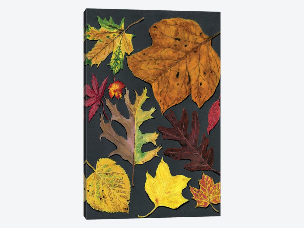 Autumn In Connecticut by Ann Jasperson 1-piece Canvas Art