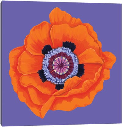 Poppie I Canvas Art Print - Similar to Georgia O'Keeffe