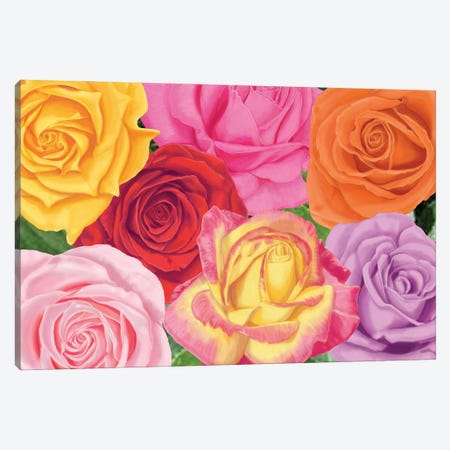 Rad Roses Canvas Print #AJP48} by Ann Jasperson Art Print