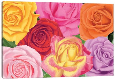 Rad Roses Canvas Art Print - Ann Jasperson