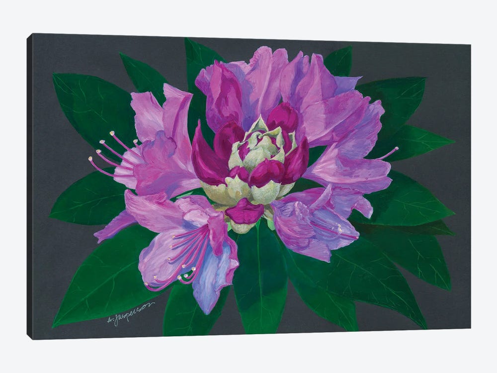 Rhododendron by Ann Jasperson 1-piece Canvas Print